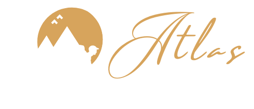 light logo